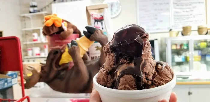 Chocolate Moose Ice Cream Factory Picture 7
