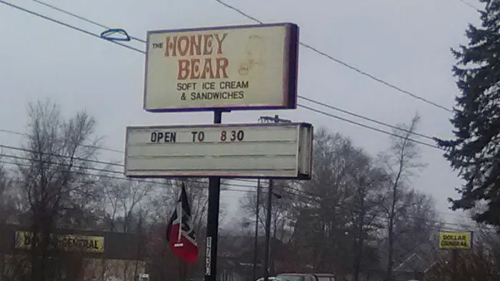 Honey Bear Picture 5