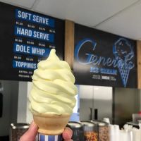 Generals Ice Cream ico