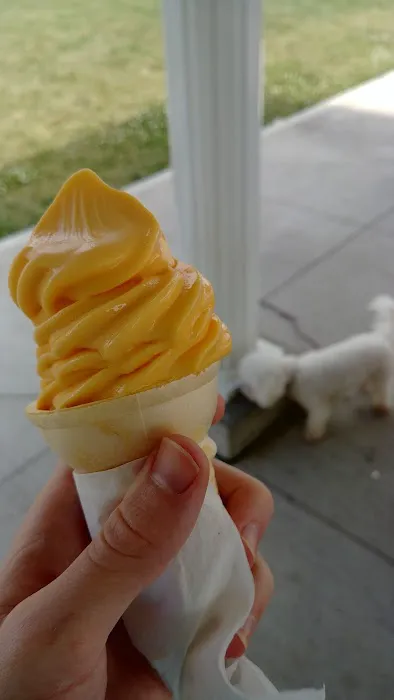 Trackside Treats Picture 10