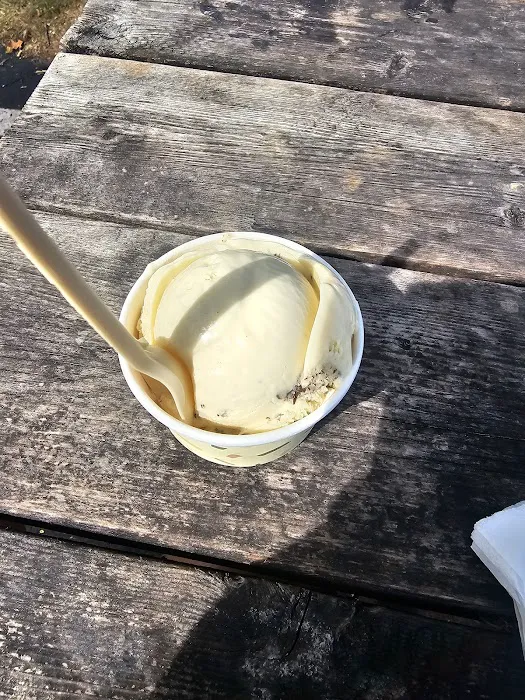 Lick Ice Cream Picture 8