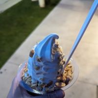 Dairy Treat ico
