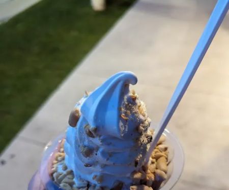 Dairy Treat