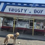 Frosty Boy