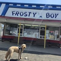 Frosty Boy ico
