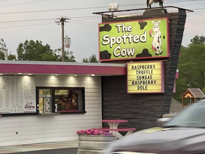 The Spotted Cow Picture 4