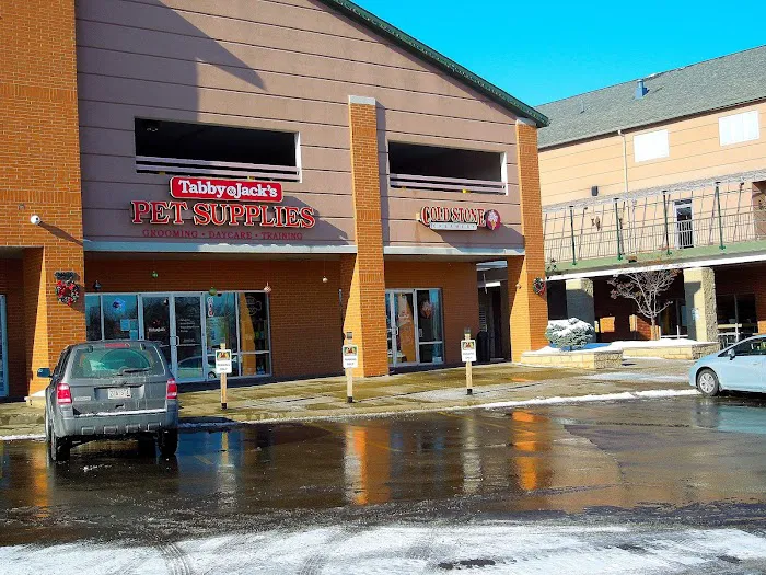 Cold Stone Creamery Picture 2