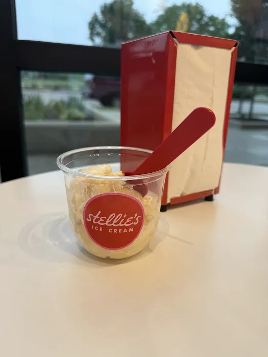 Stellie's Ice Cream Picture 4