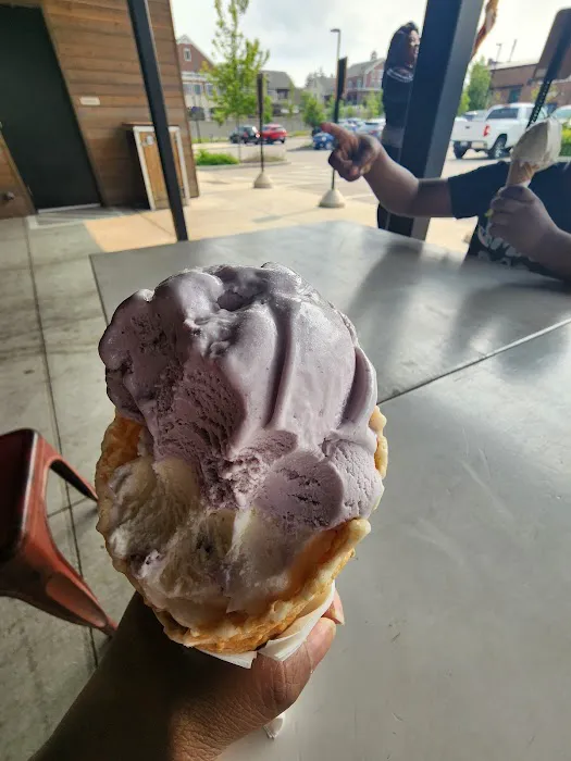 Purple Door Ice Cream Picture 2