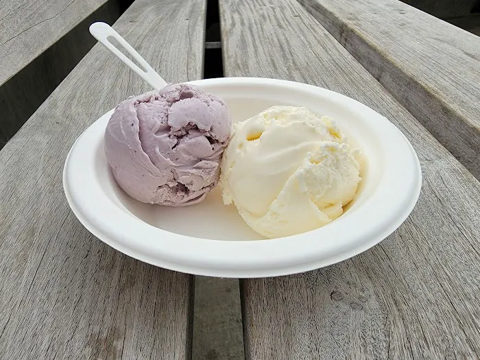 Purple Door Ice Cream Picture 8