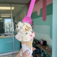 Chocolate Shoppe Ice Cream Co. ico