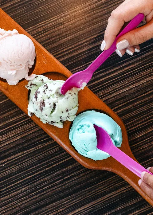 Chocolate Shoppe Ice Cream Co. Picture 9