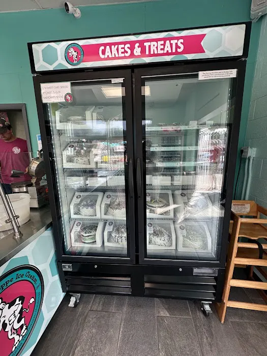 Chocolate Shoppe Ice Cream Picture 5