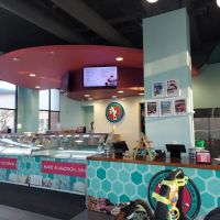 Chocolate Shoppe Ice Cream Co. ico