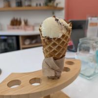 Ice Cream Social ico