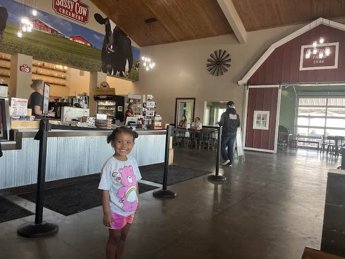 Sassy Cow Creamery Store Picture 6