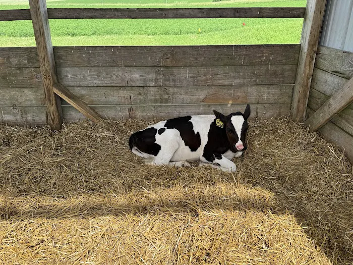 Sassy Cow Creamery Store Picture 9