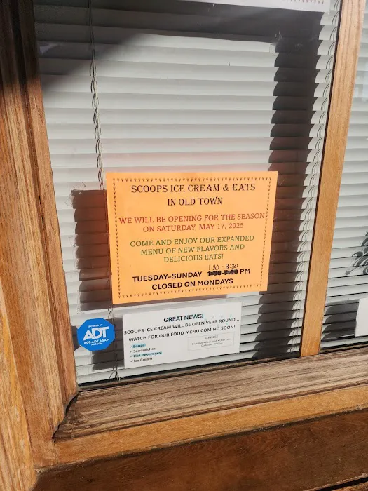 Scoops Ice Cream in Old Town Picture 9