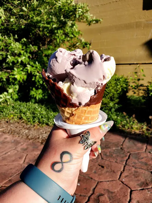 Scoopy Doo's Old Fashioned Ice Cream Picture 3