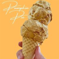 What's The Scoop ico