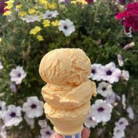 Dairy Bear ico