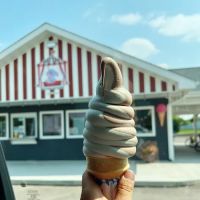 Big Top Ice Cream Shop ico