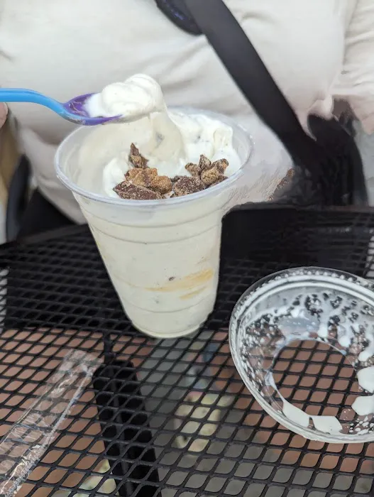 Frozen ParadICE Picture 7