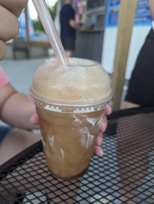 Frozen ParadICE Picture 9