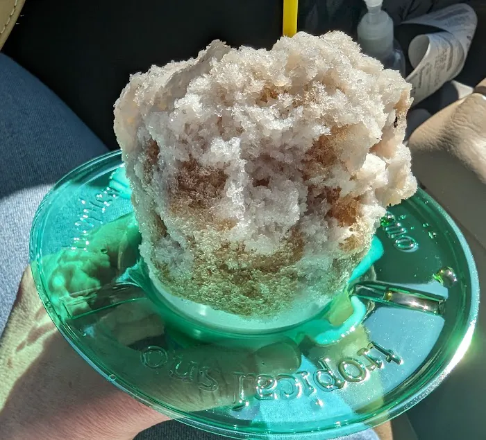 Frozen ParadICE Picture 8