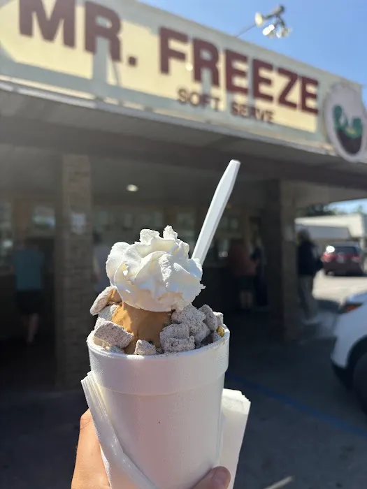 Mr. Freeze Picture 3