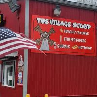 THE VILLAGE SCOOP ico