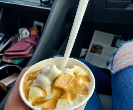 Ada ice cream Dairy bu2019s