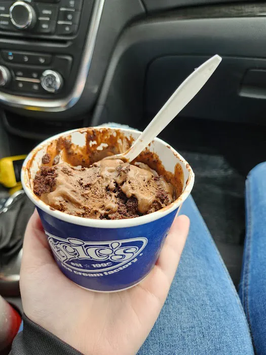 Eric's Ice Cream Factory Picture 5