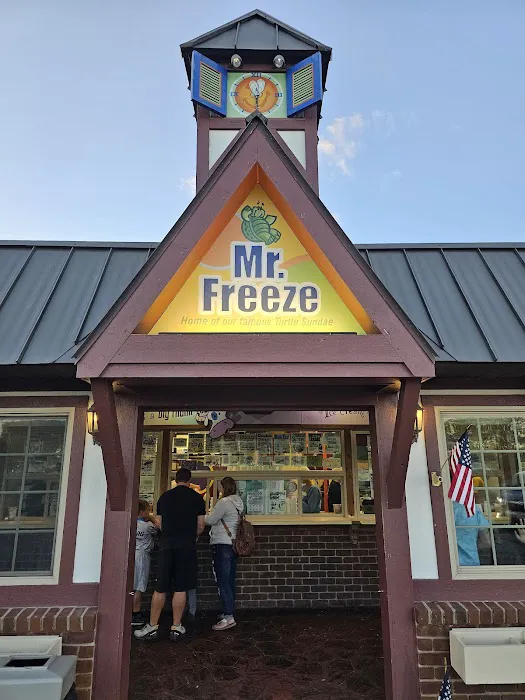 Mr. Freeze Picture 1