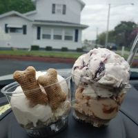 St. Paris Creamery ico
