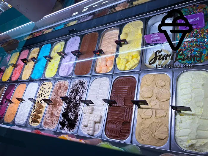 Suriland Ice Cream Shop Picture 3