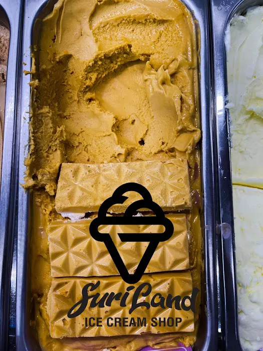 Suriland Ice Cream Shop Picture 6