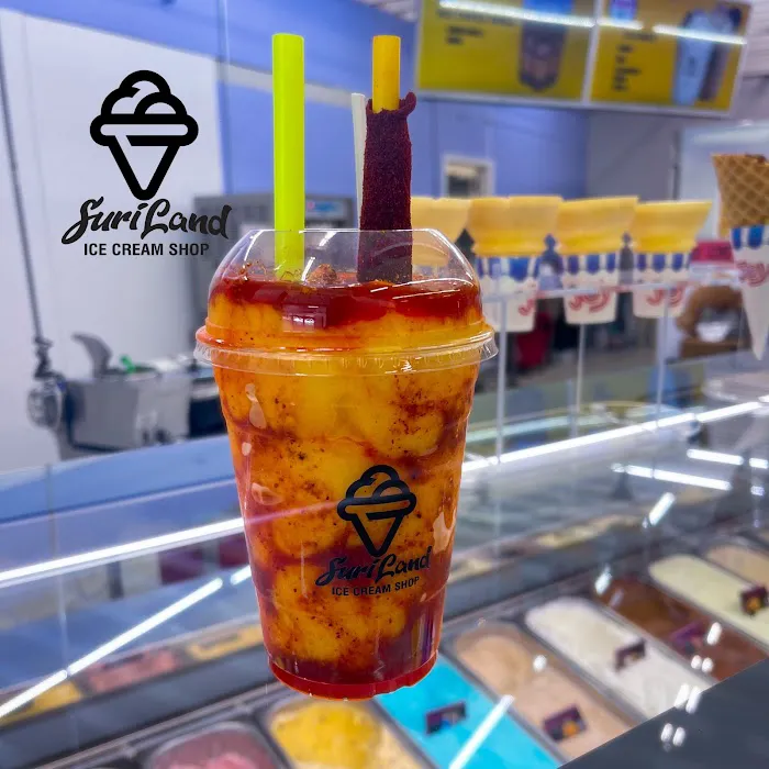 Suriland Ice Cream Shop Picture 9