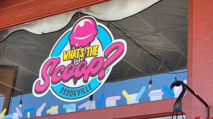 What’s The Scoop? Picture 1