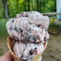 The Pine Cone ico