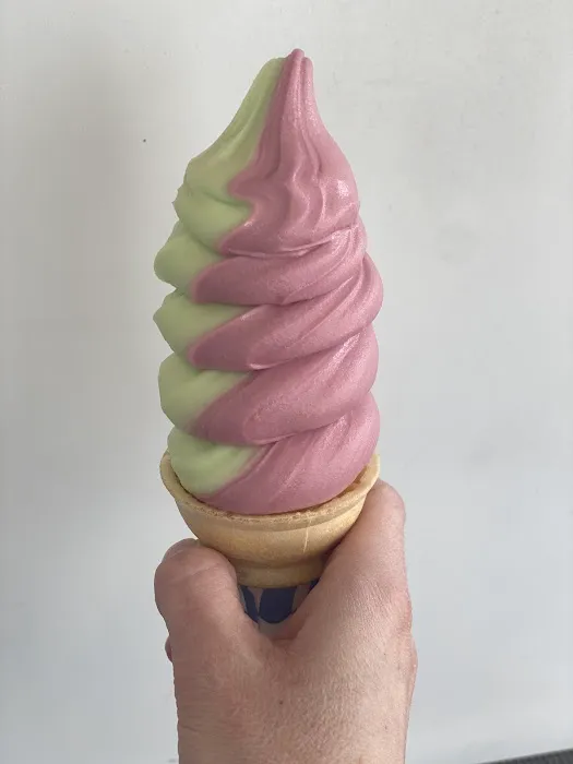 Dairy Treat Picture 5