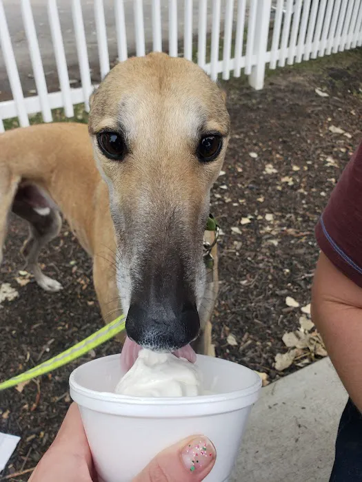 Cap'n Frosty Ice Cream Picture 9