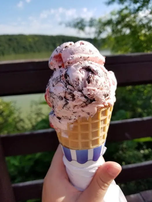 Yellowstone Lake Dairy Restaurant Picture 8