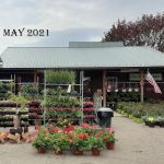 Kings Trading Post Party Store