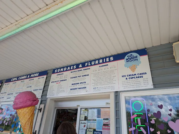 Blue Moon Ice Cream Shop Picture 4