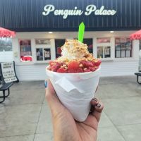 Penguin Palace ico