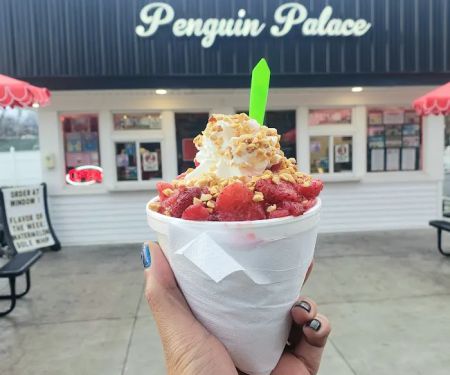 Penguin Palace