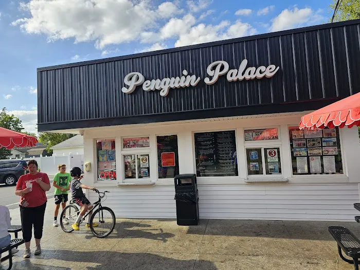 Penguin Palace Picture 5