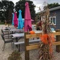 Mike & Aj'z Ice Cream Shack ico