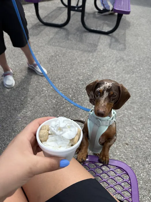 Frannie's Ice Cream Picture 5